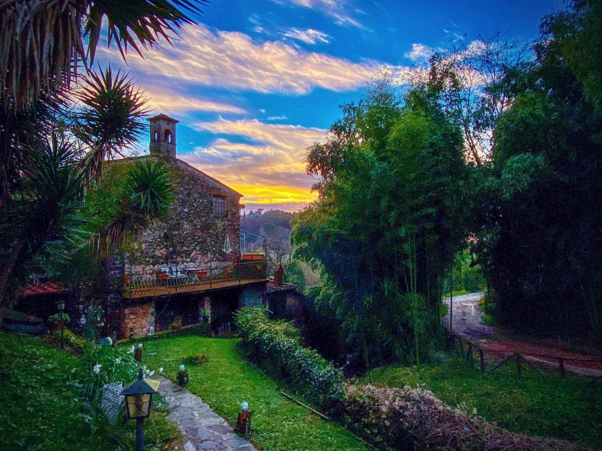 Antico Frantoio Guest house