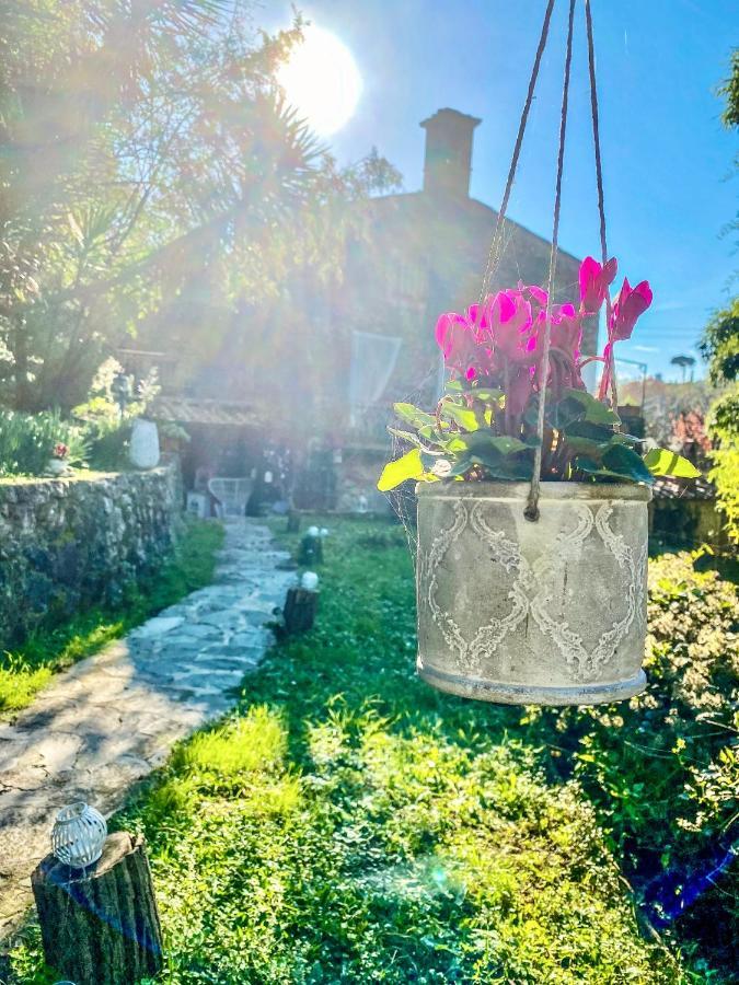 Antico Frantoio Guest house Pietrasanta