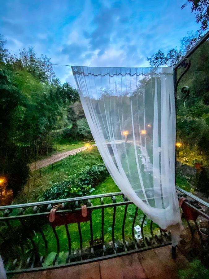 Guest house Antico Frantoio Pietrasanta