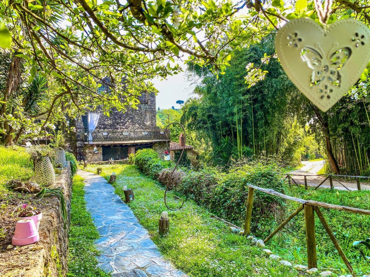 Guest house Antico Frantoio 2*