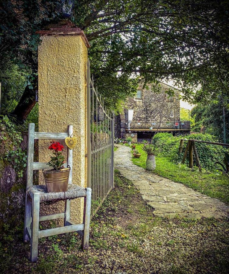 Antico Frantoio Guest house