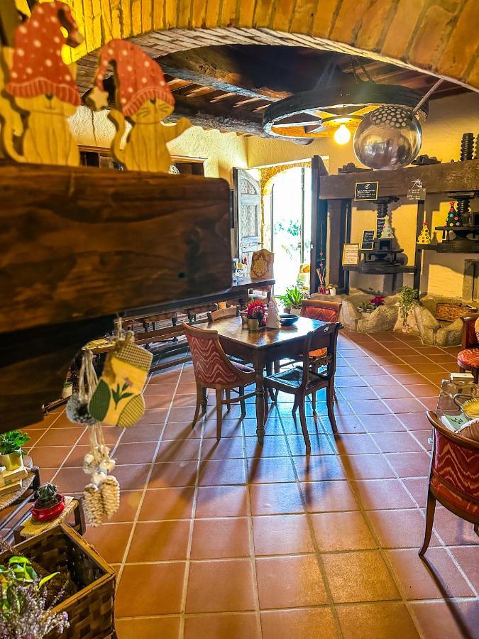 Guest house Antico Frantoio