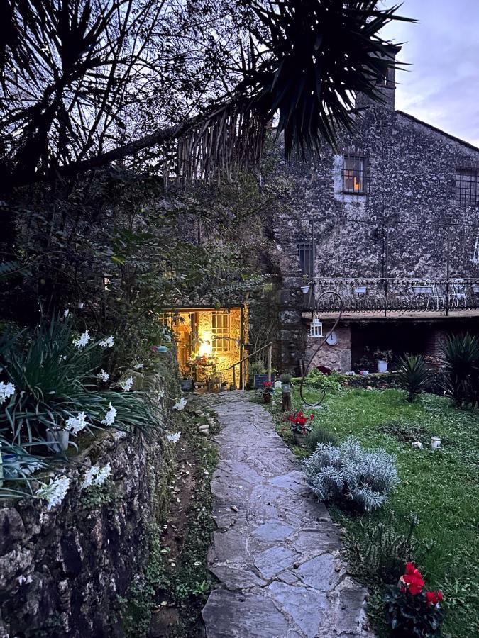 Antico Frantoio Guest house Pietrasanta