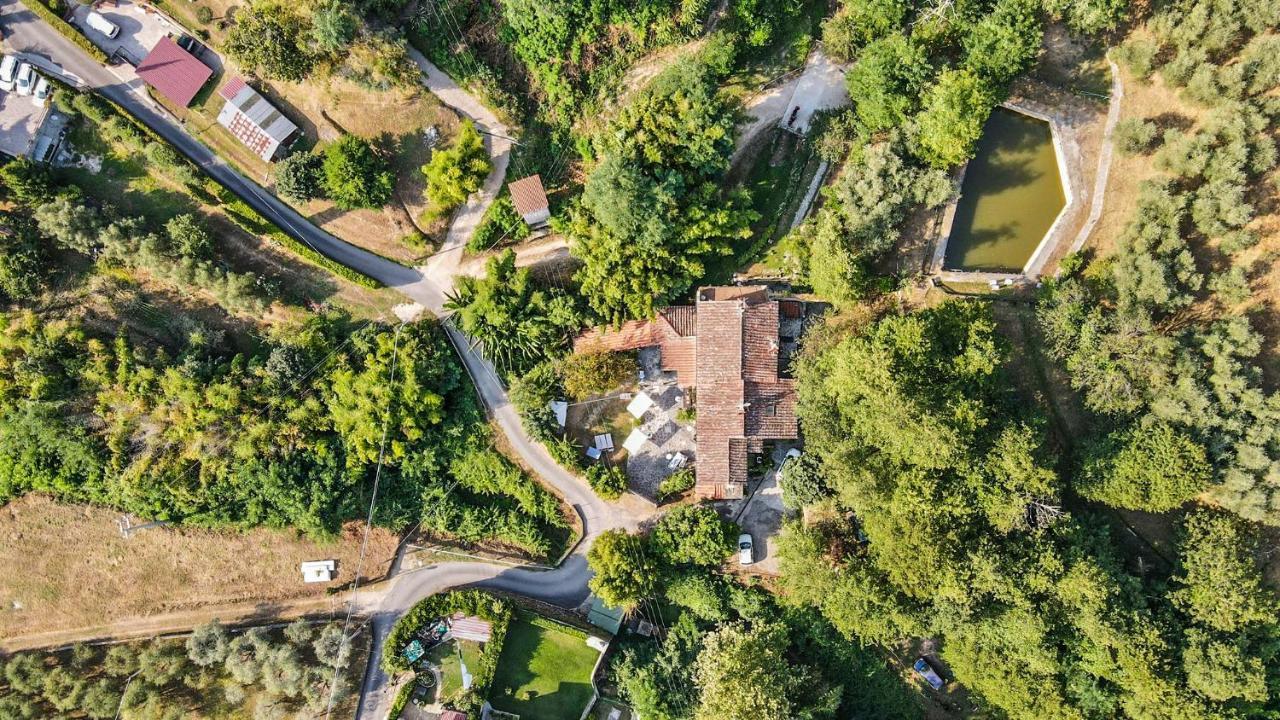 Guest house Antico Frantoio