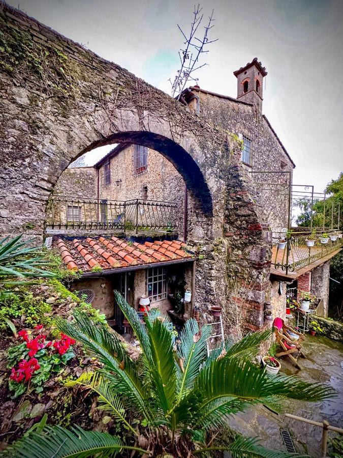 Guest house Antico Frantoio 2*