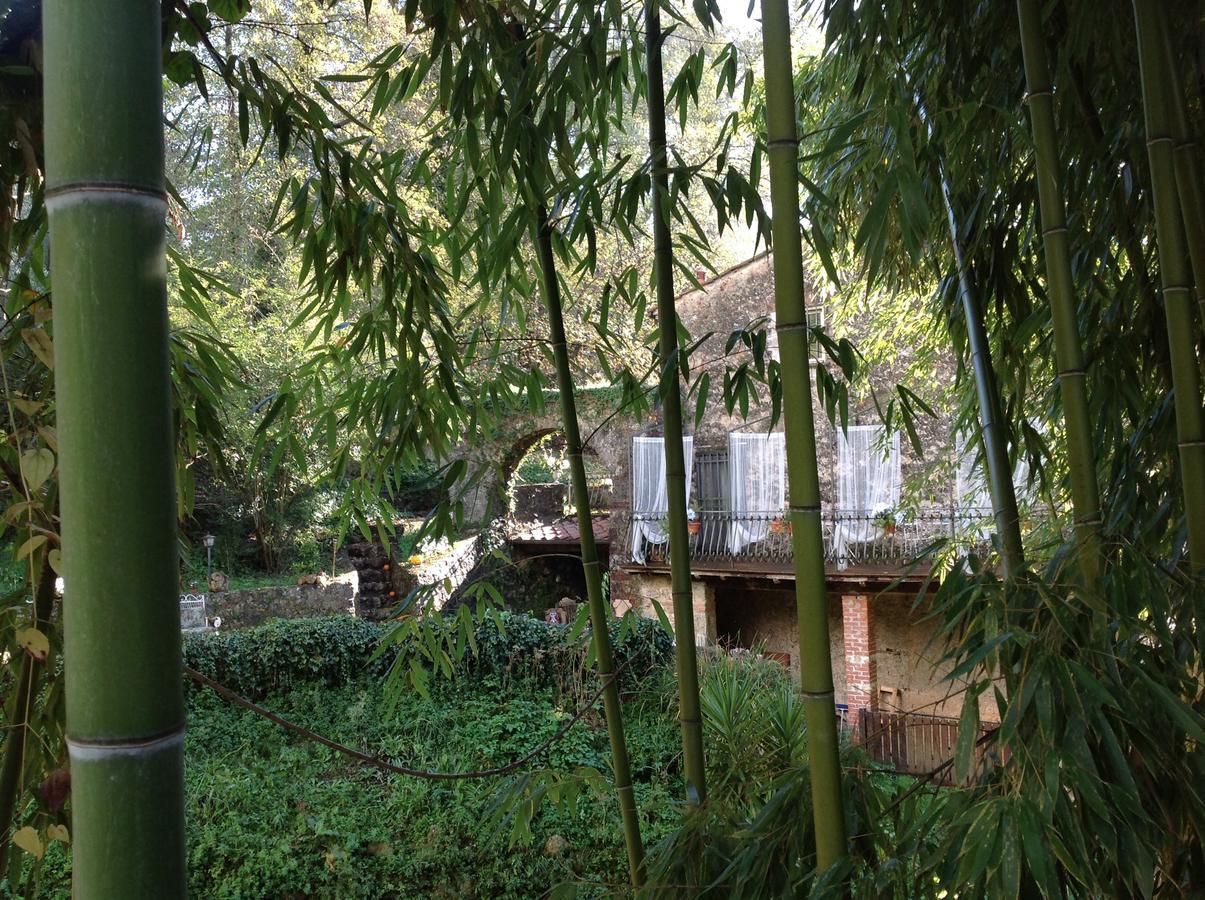 Antico Frantoio Guest house
